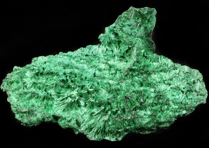 Silky Fibrous Malachite Crystal Cluster - Congo #45328
